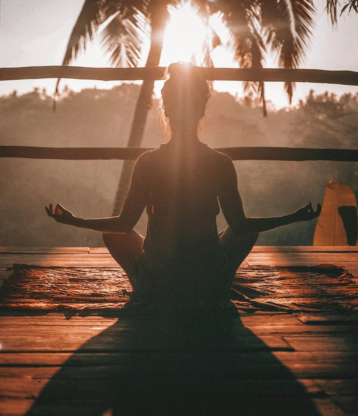 Transforma tu energía para vivir tus sueños